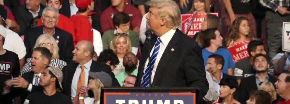 Donald Trump Says His Rally’s Are The Safest Places As Fights Break Out