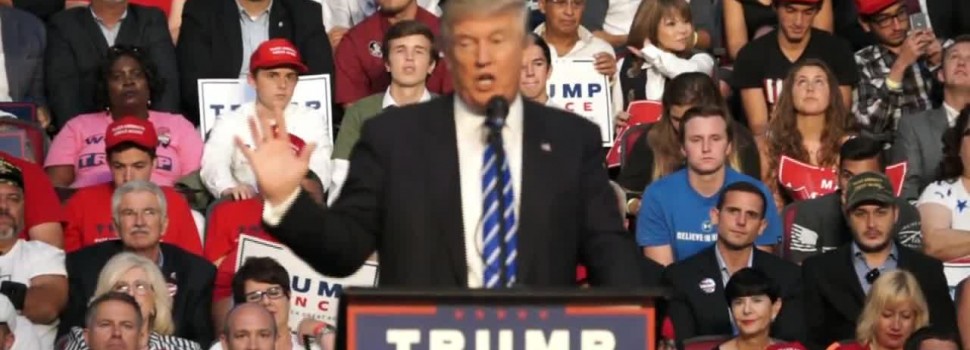 Donald Trump Hits Back Over Second Amendment Threat Allegations