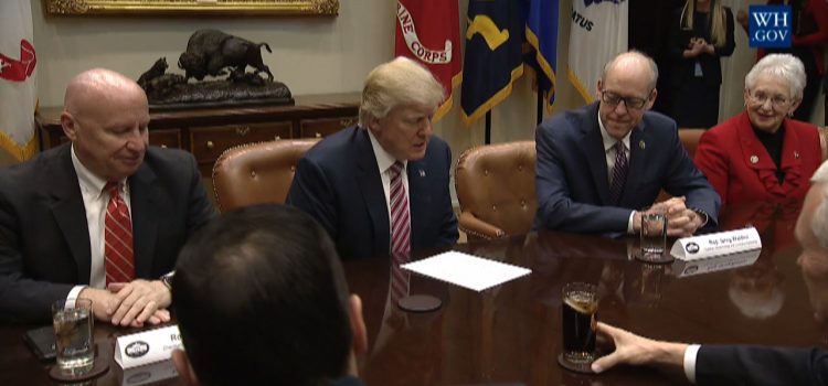 President Trump Leads Healthcare Discussion With House Committee Chairmen