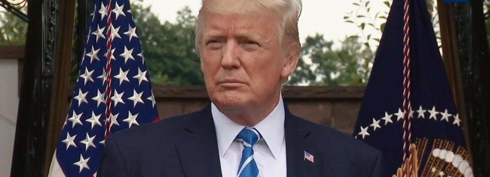 President Trump Loves Peaceful Solutions